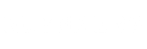 Reynaers-producent-kotew-do-okien