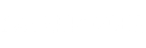 Salamander-producent-kotew-do-okien